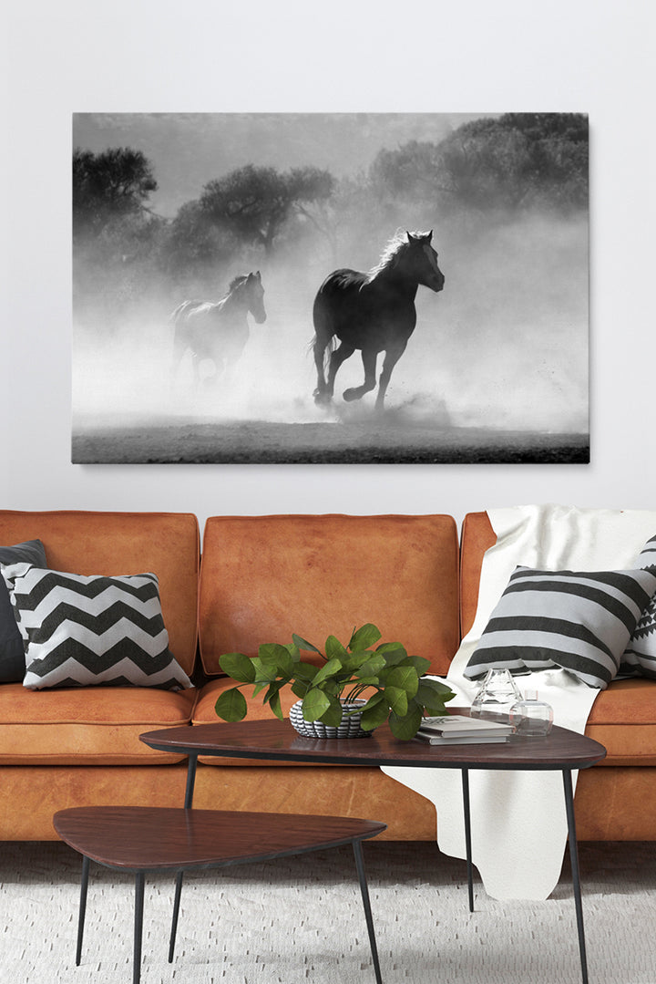 Wild Spirit
