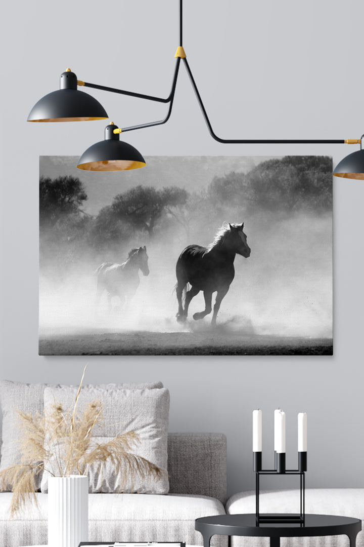 Wild Spirit