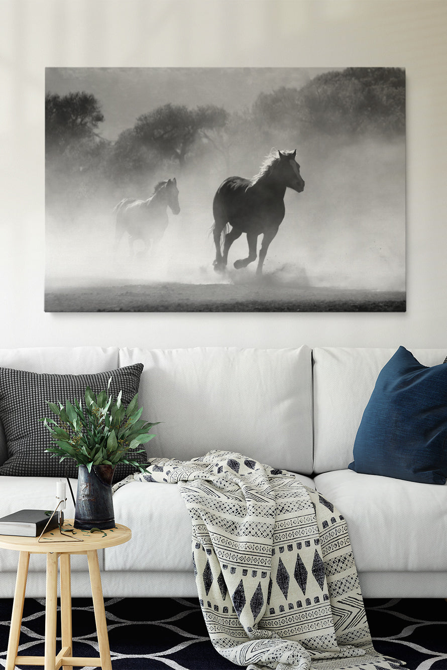 Wild Spirit