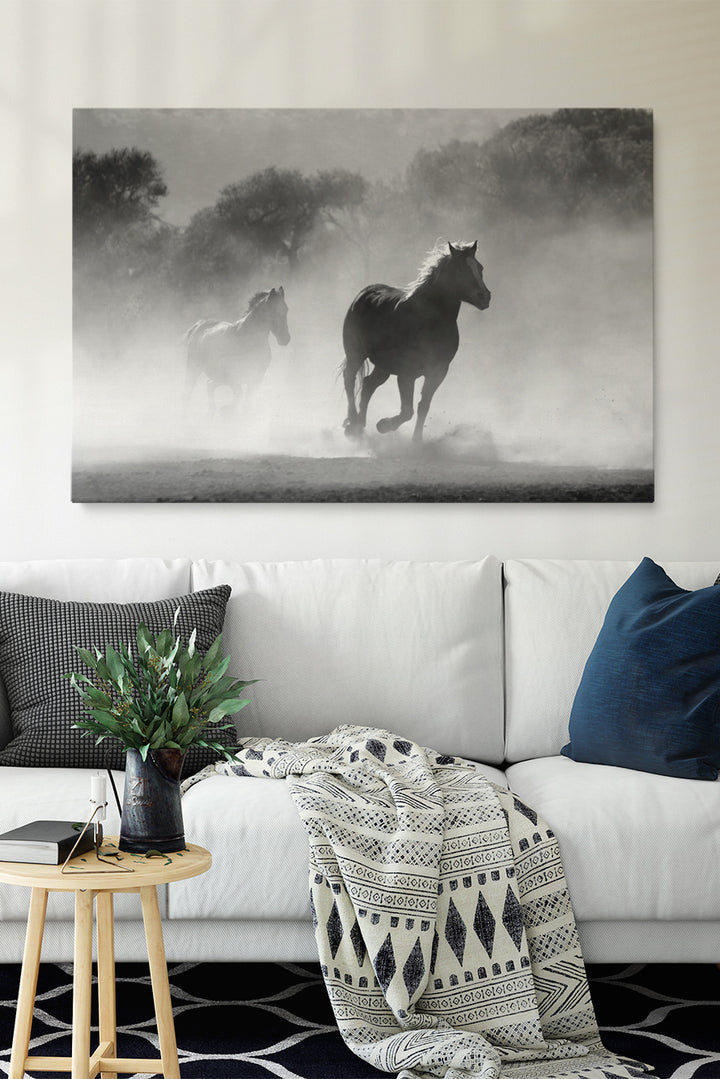 Wild Spirit