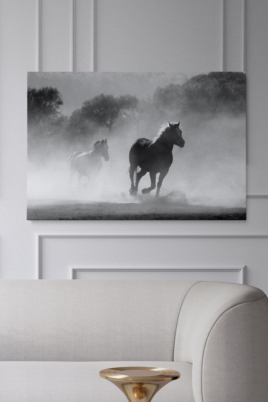 Wild Spirit