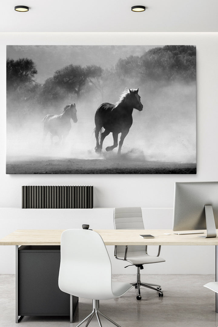 Wild Spirit