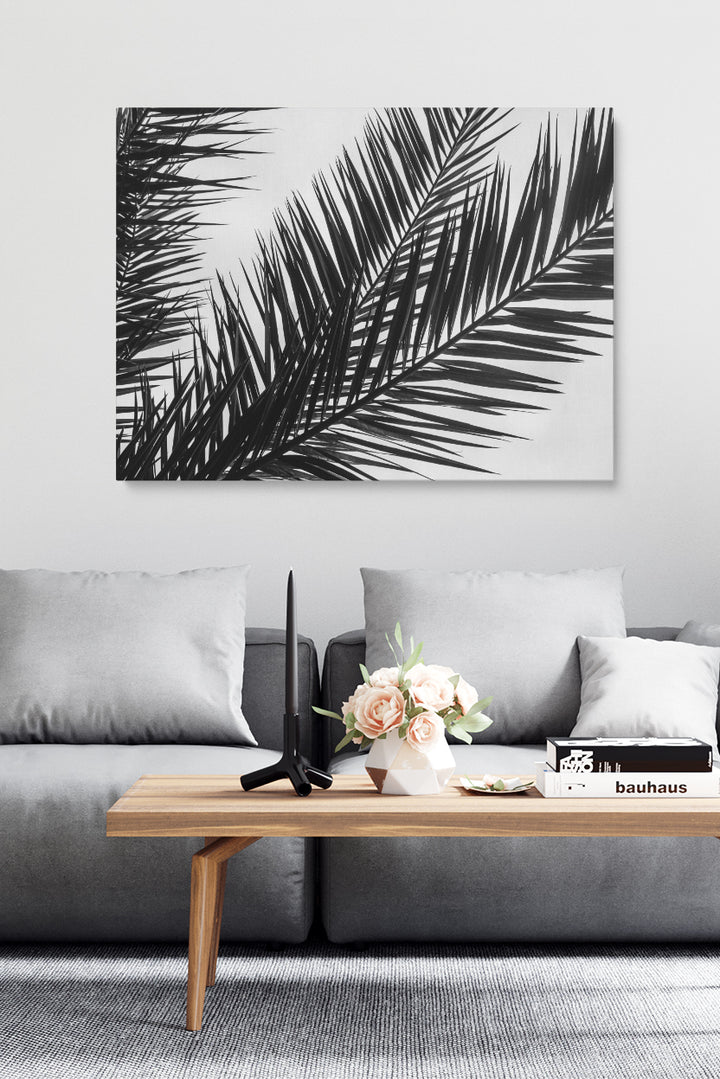 Black And White Palm