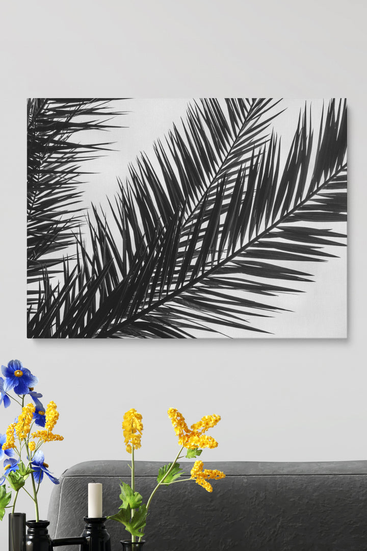 Black And White Palm