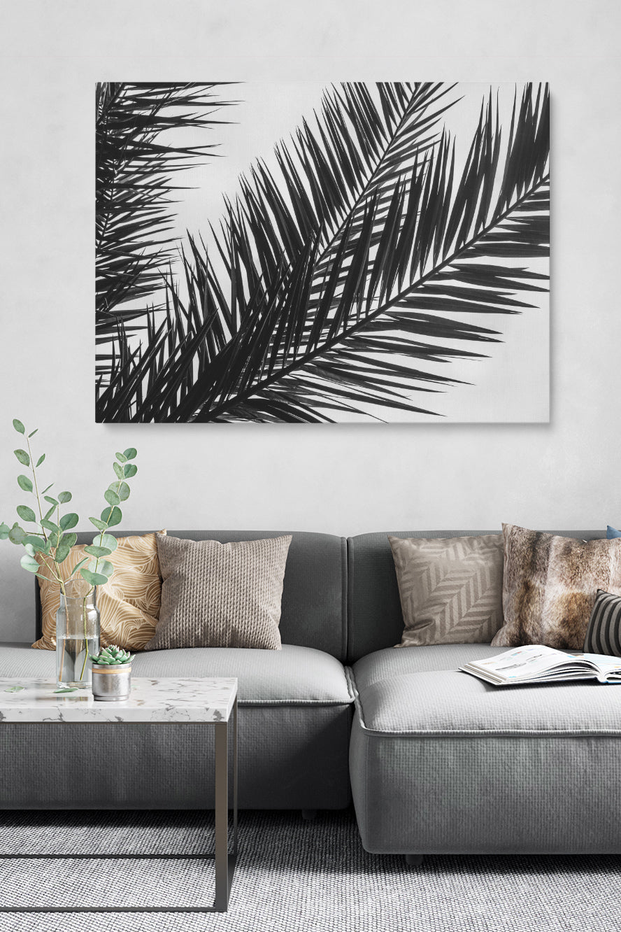 Black And White Palm