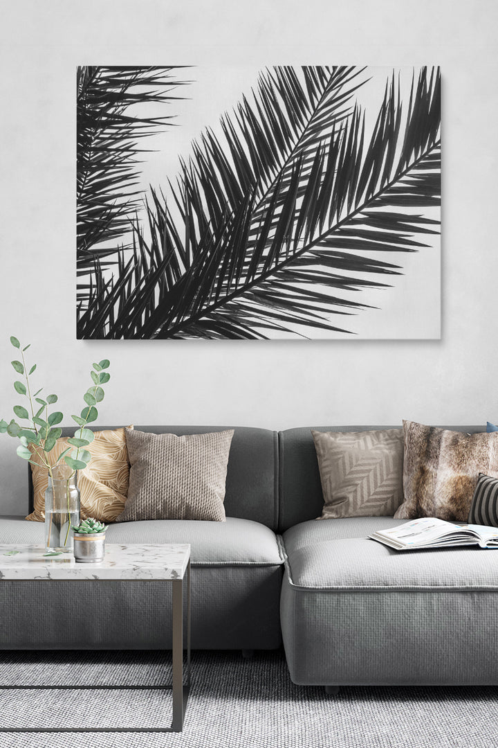 Black And White Palm