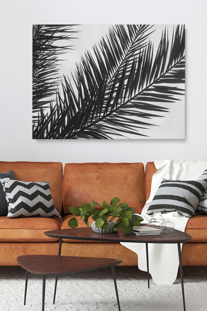 Black And White Palm