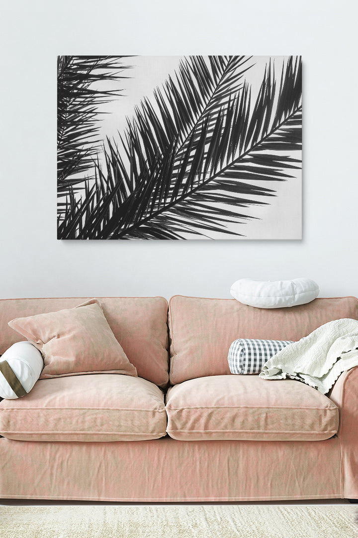 Black And White Palm