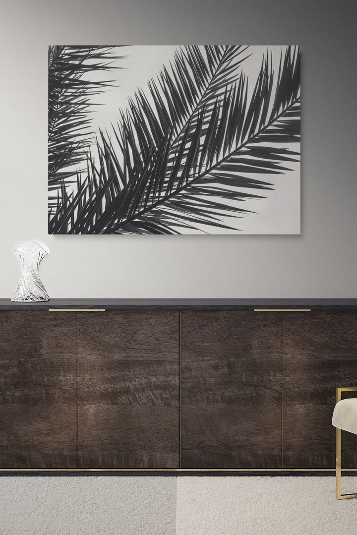 Black And White Palm