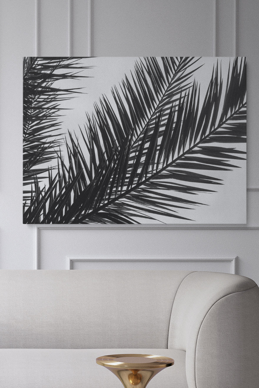 Black And White Palm