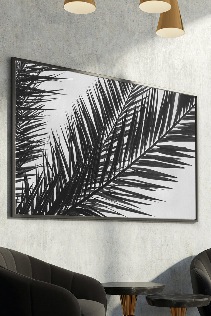 Black And White Palm