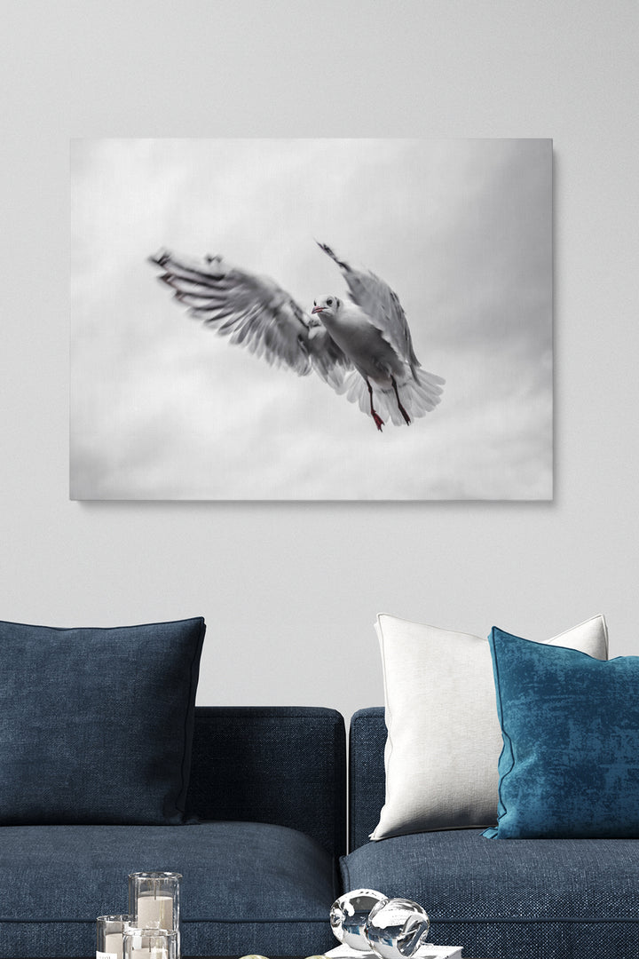 Fliegende Möwe