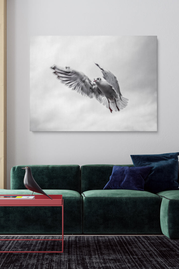 Fliegende Möwe