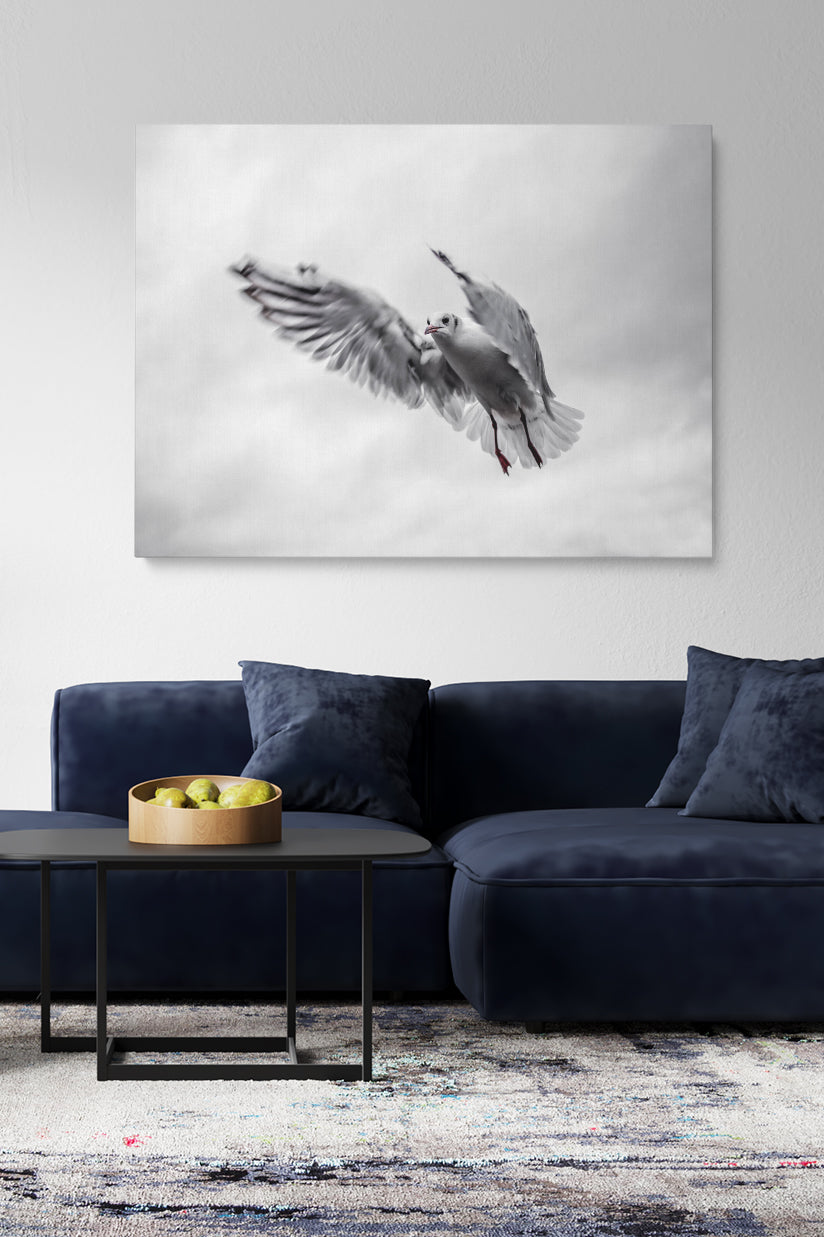 Fliegende Möwe