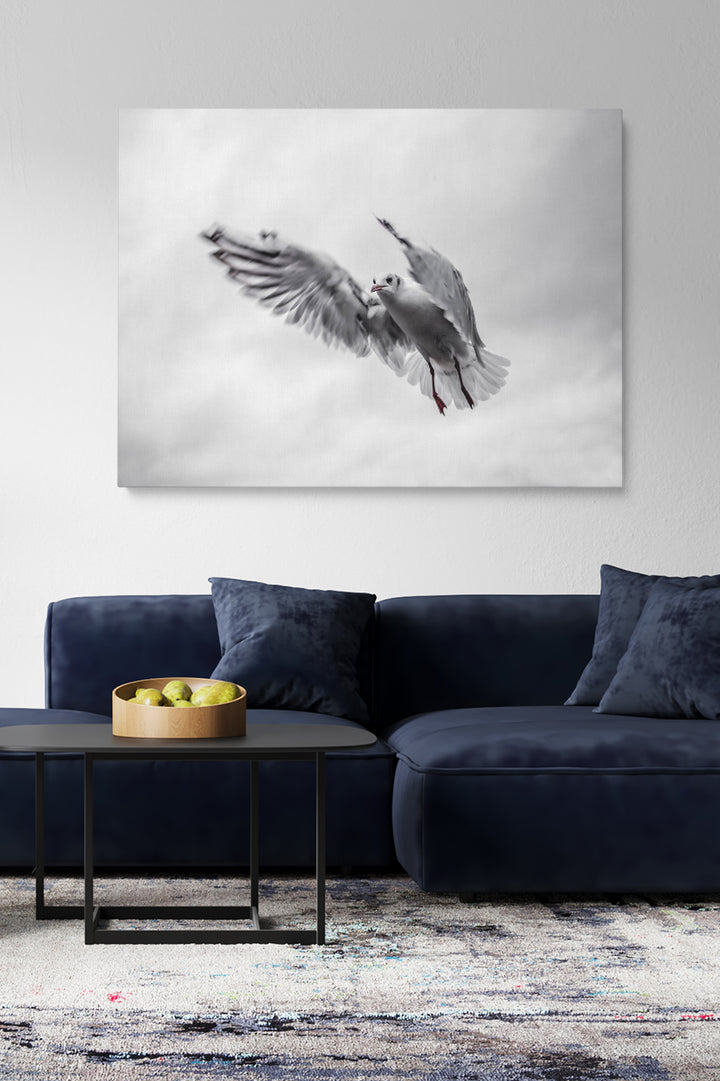 Fliegende Möwe