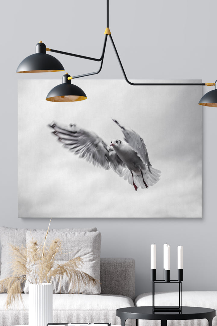 Fliegende Möwe