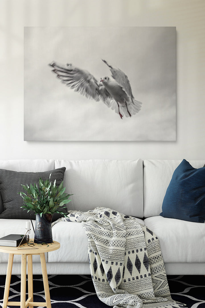 Fliegende Möwe