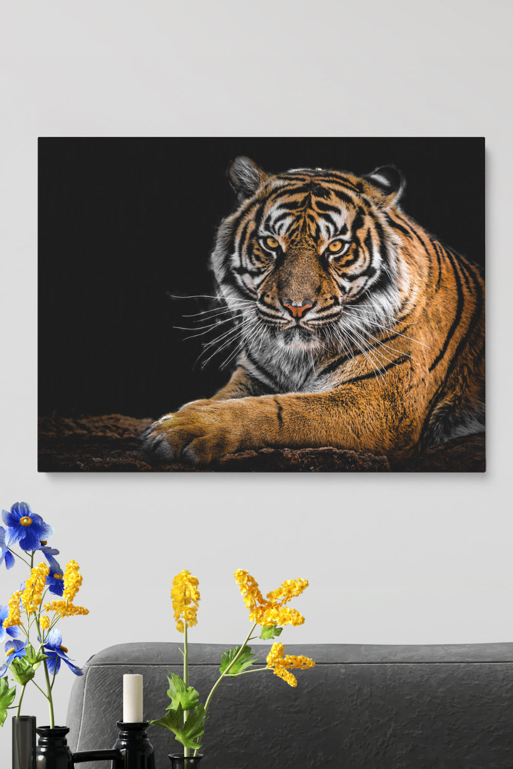 Tiger Staring