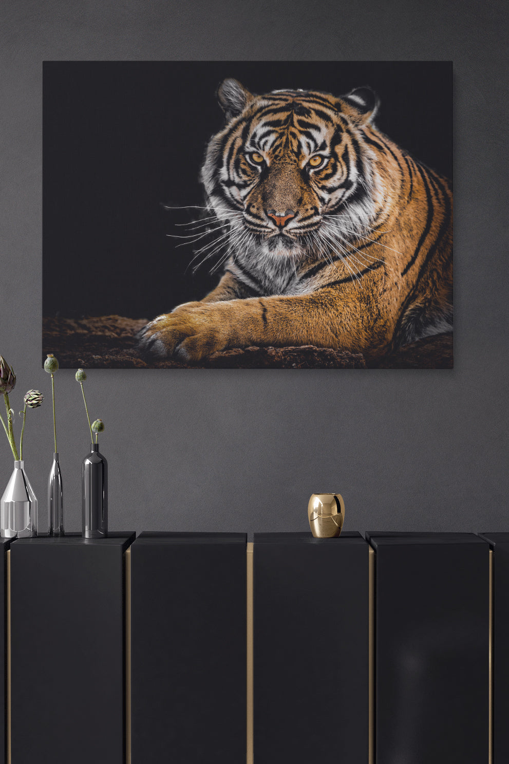 Tiger Staring