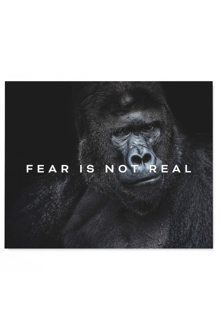 Fear Is not Real