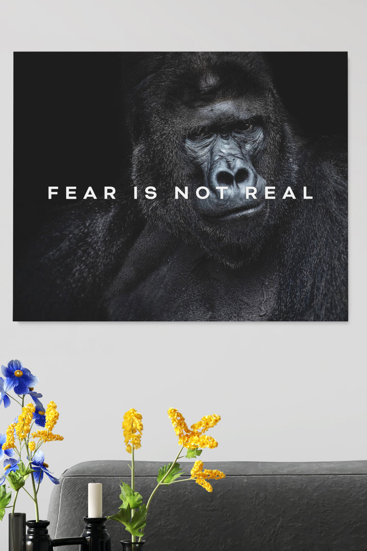 Fear Is not Real