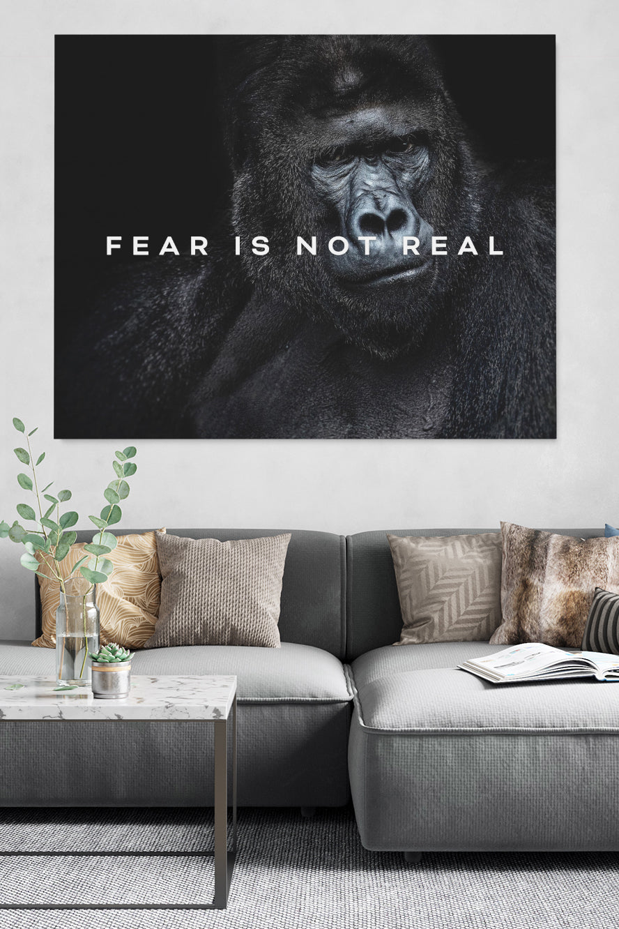 Fear Is not Real
