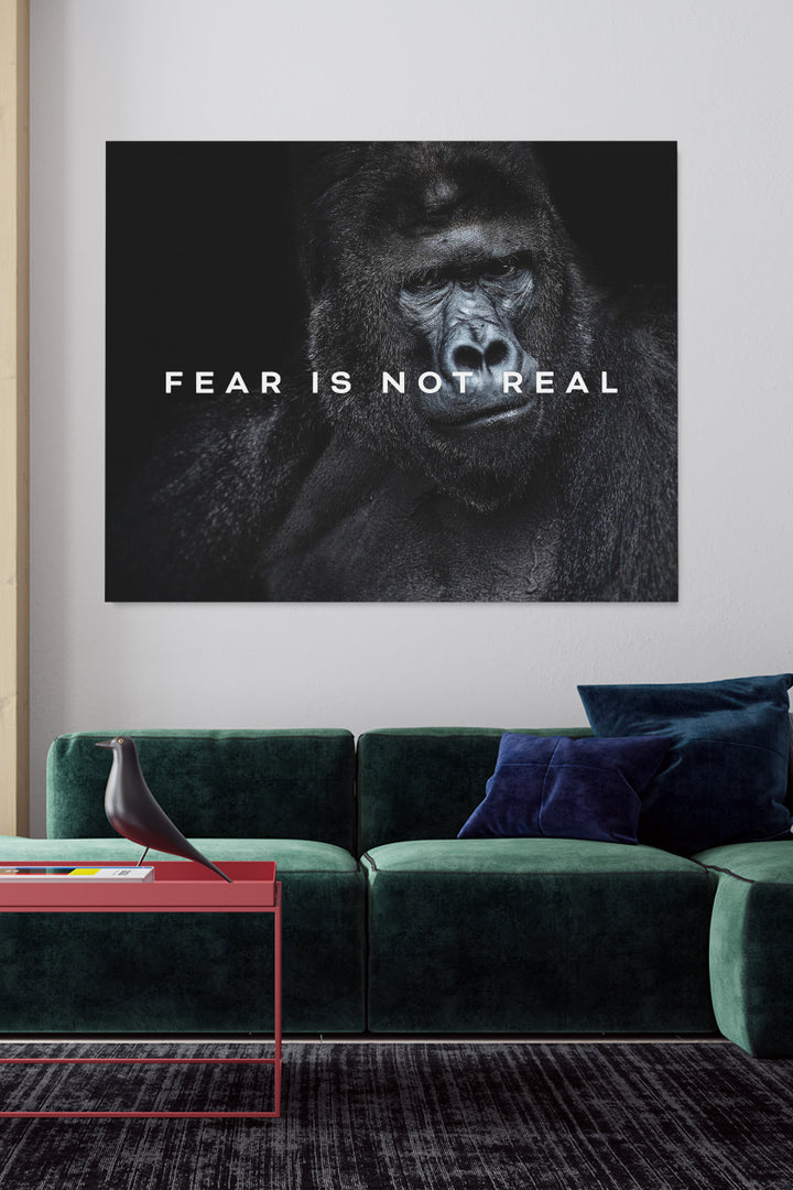 Fear Is not Real
