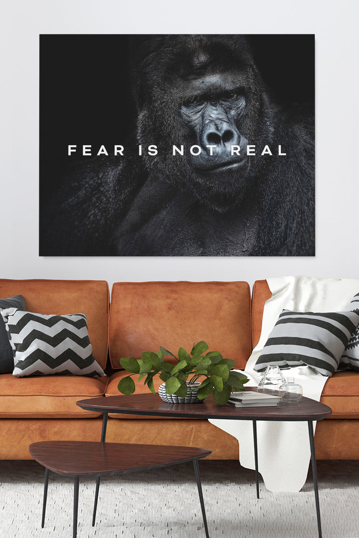 Fear Is not Real