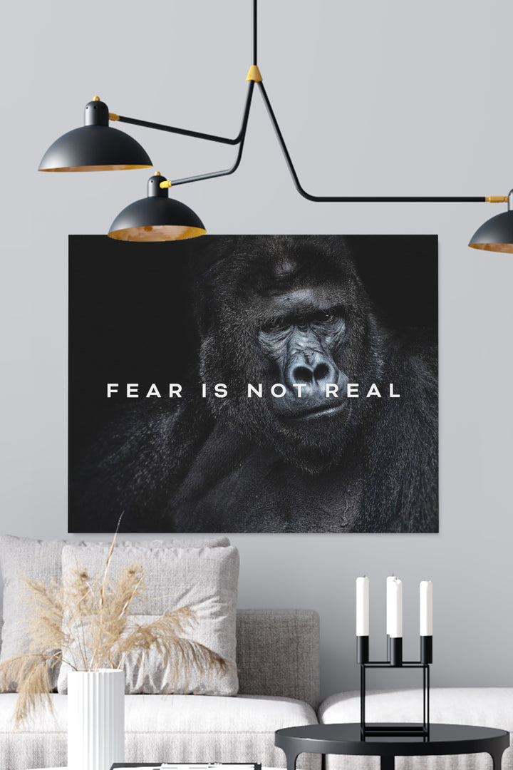 Fear Is not Real