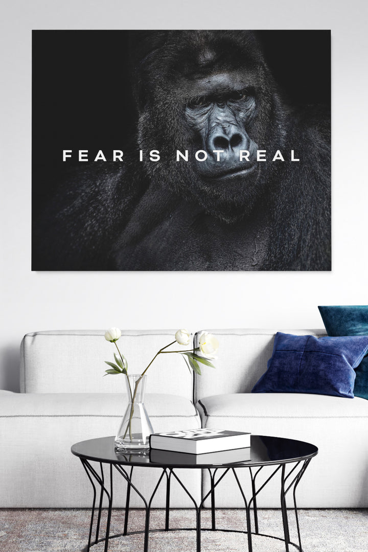 Fear Is not Real
