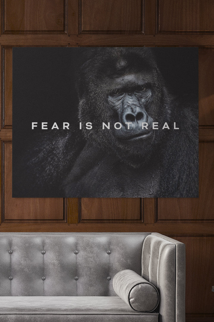 Fear Is not Real