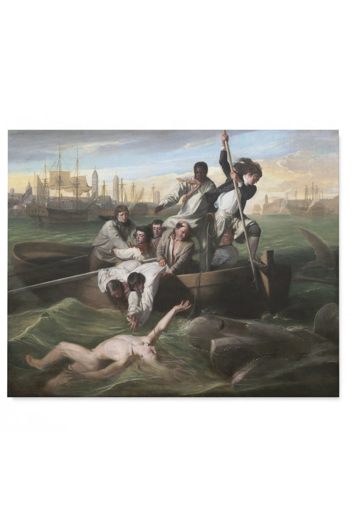 Watson and the Shark - John Singleton Copley