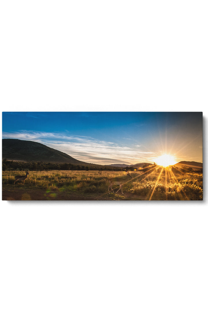 Sonnenuntergang über den Bergen