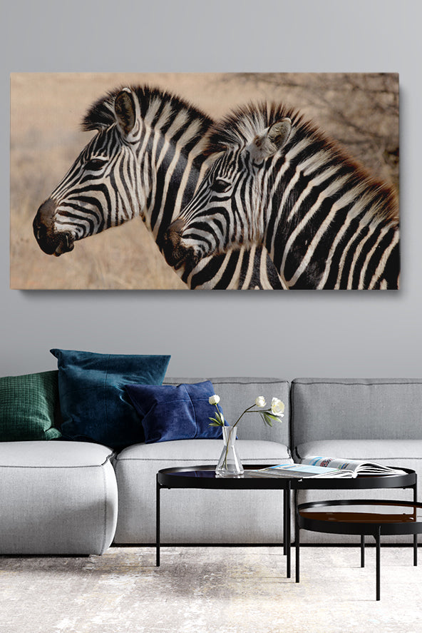 Zebra Stripes