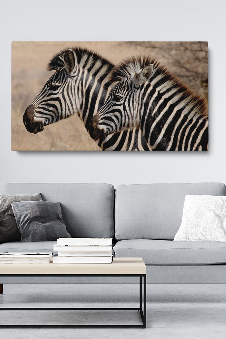 Zebra Stripes