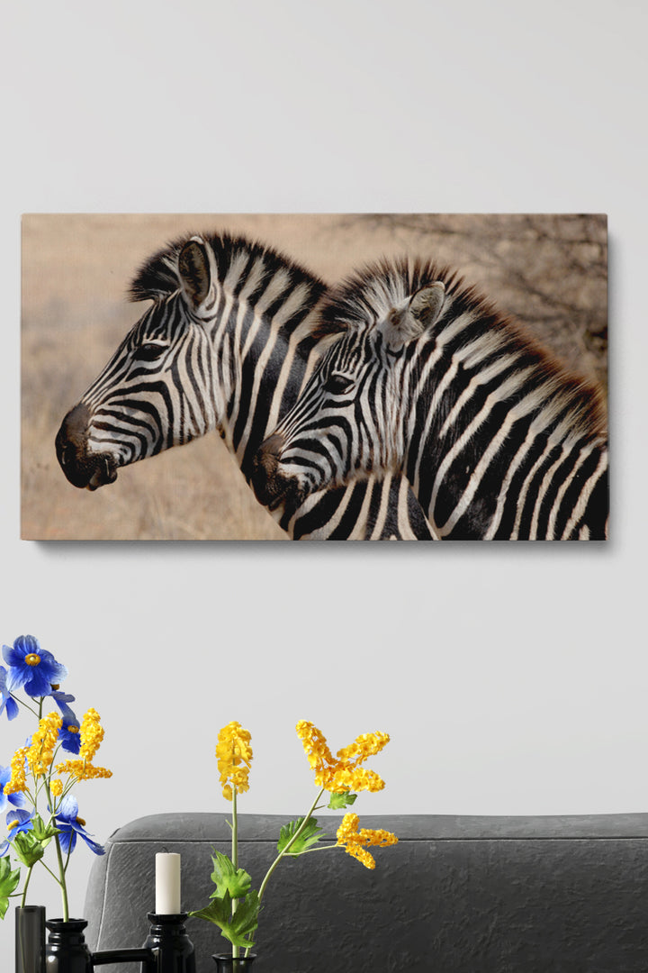 Zebra Stripes