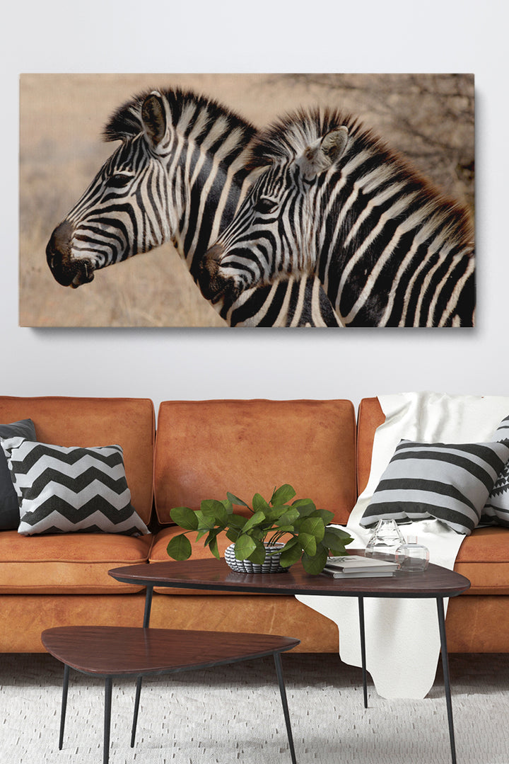 Zebra Stripes