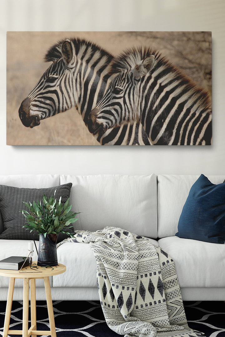 Zebra Stripes