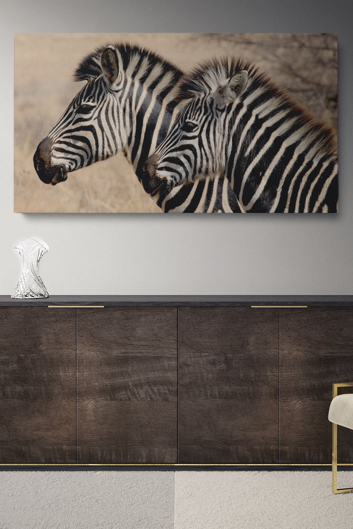 Zebra Stripes