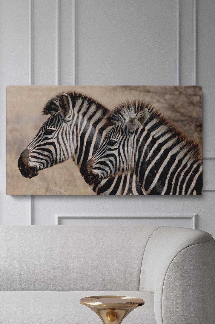 Zebra Stripes