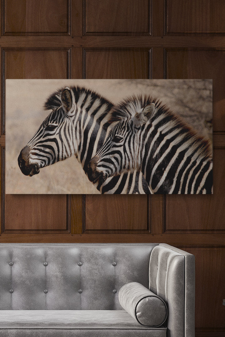 Zebra Stripes