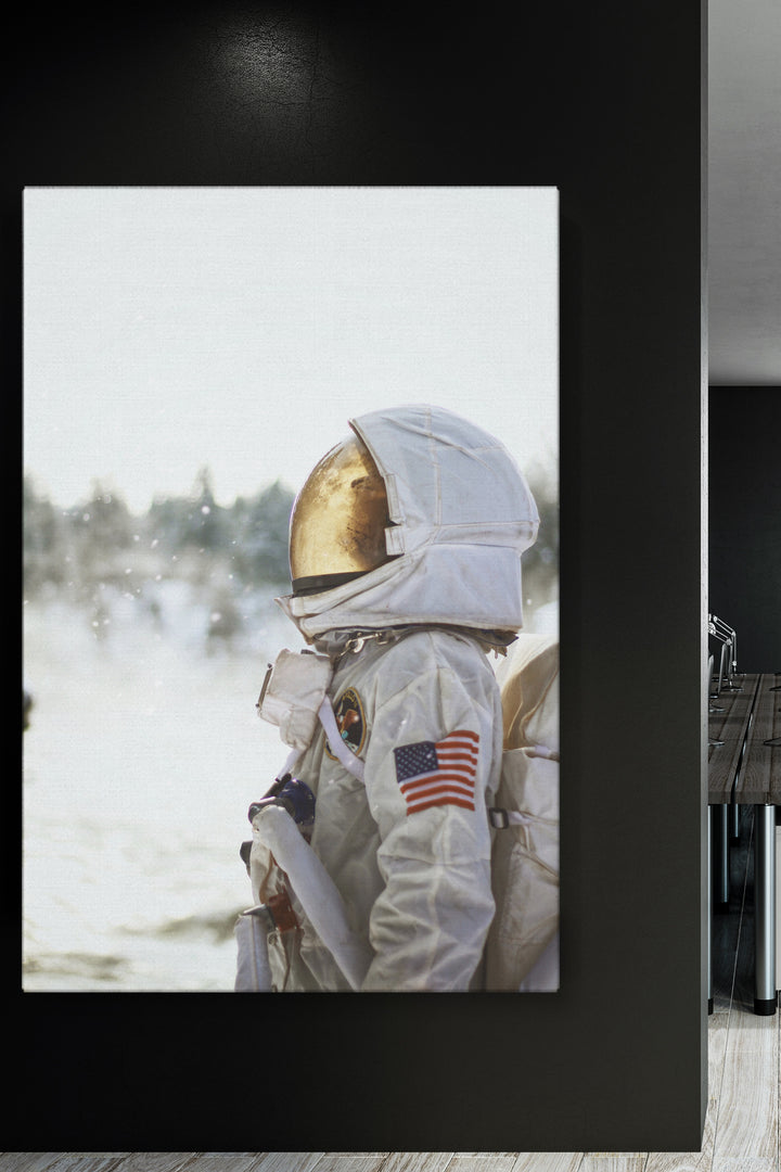 Astronaut