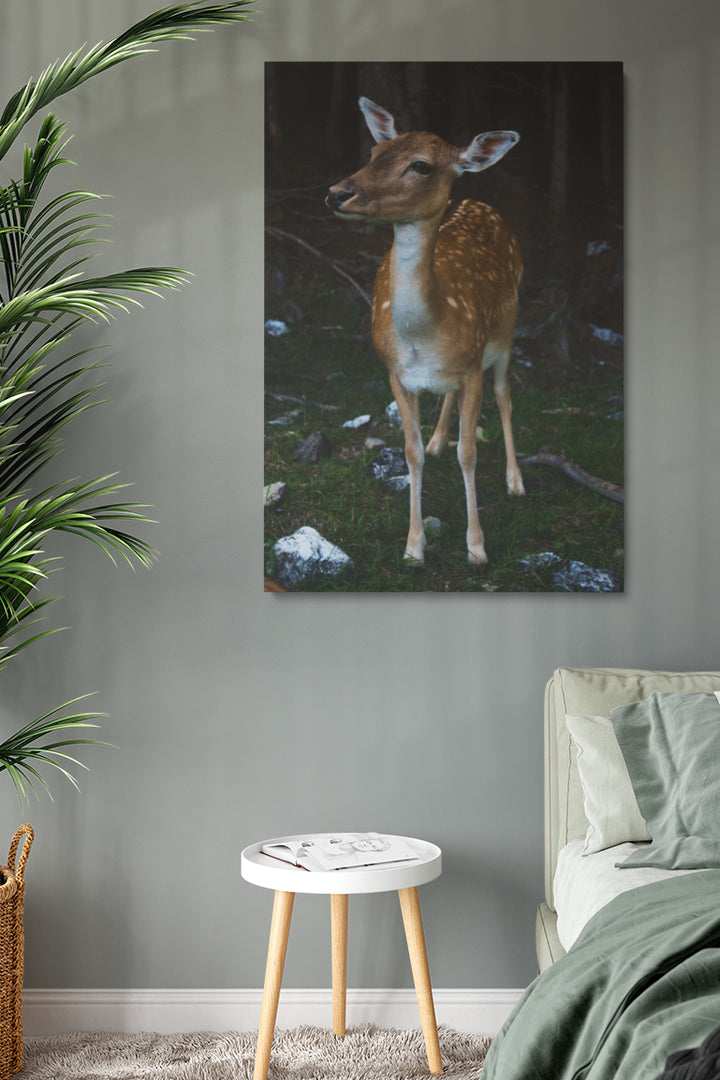 Bambi