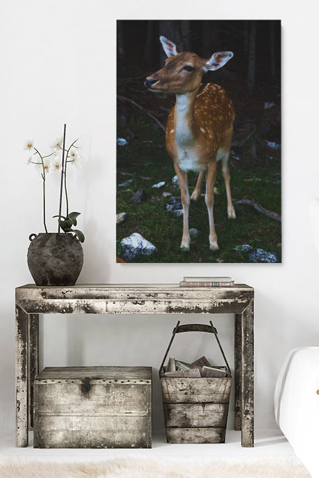 Bambi