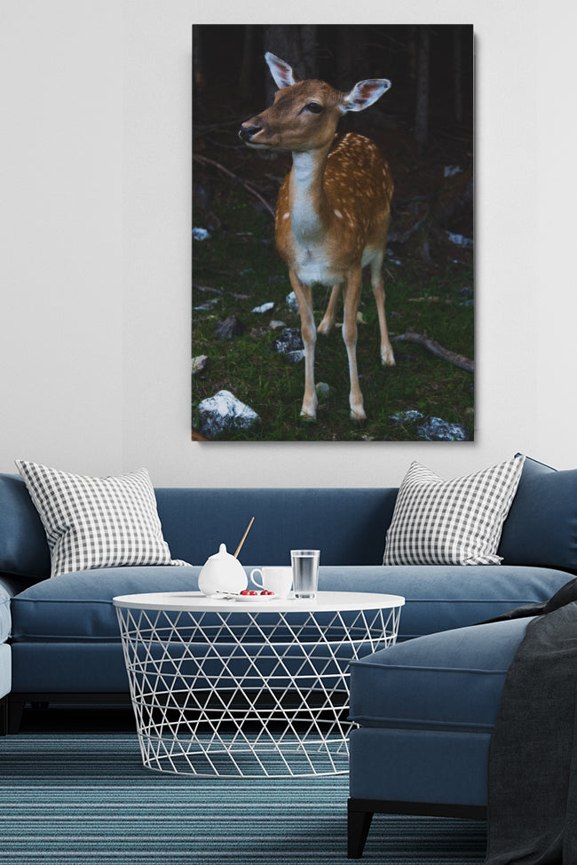 Bambi