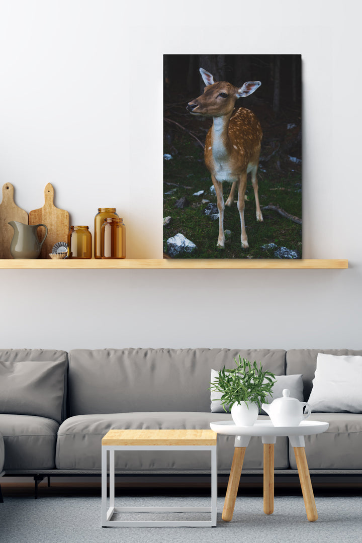 Bambi