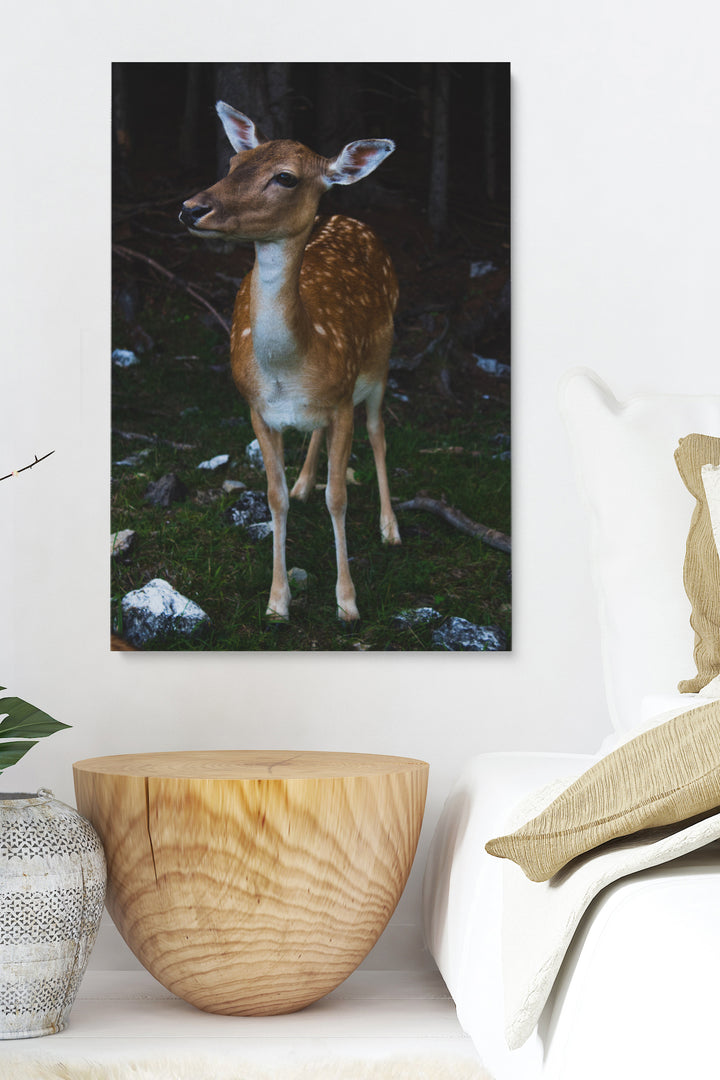 Bambi