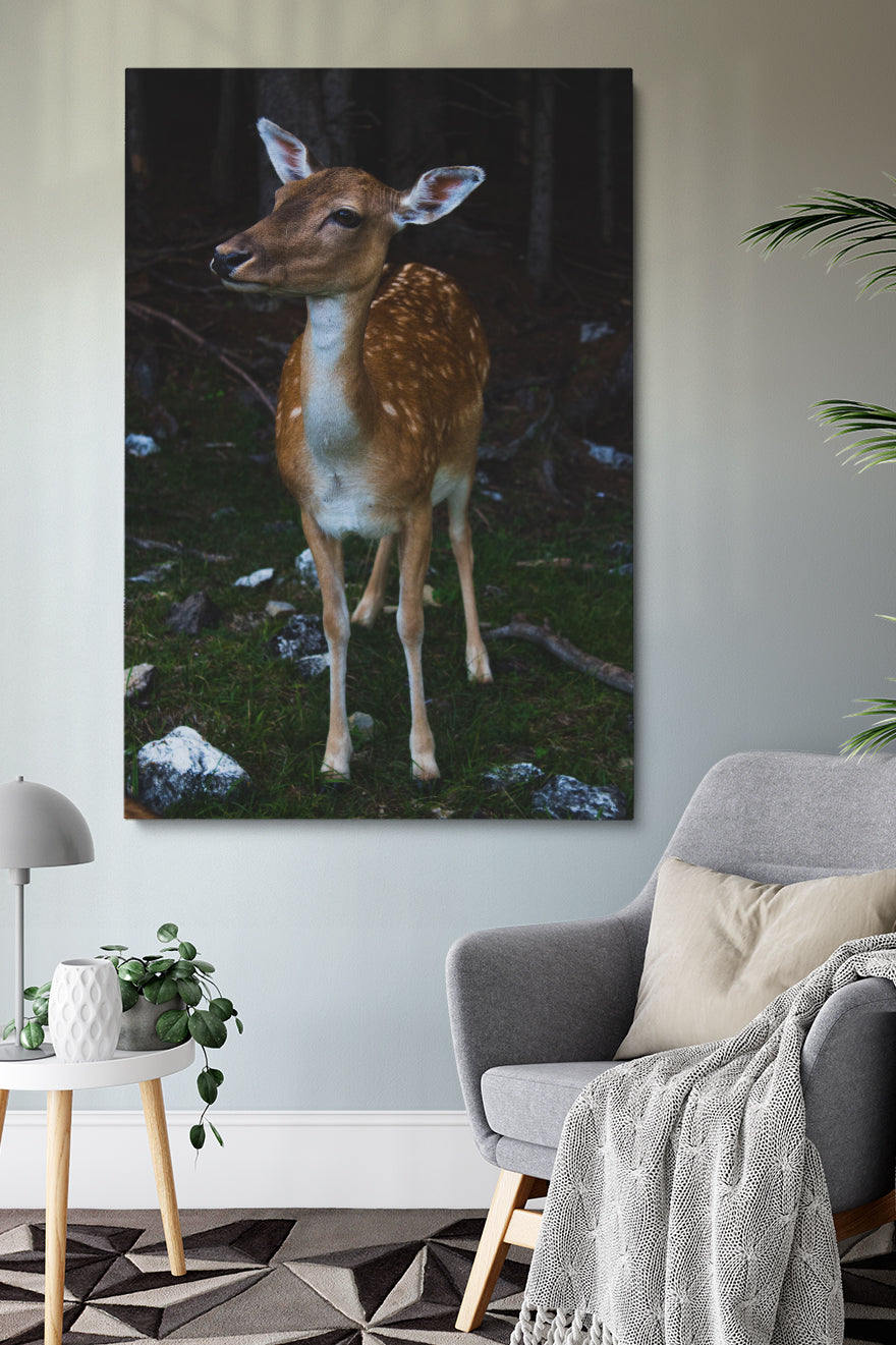 Bambi
