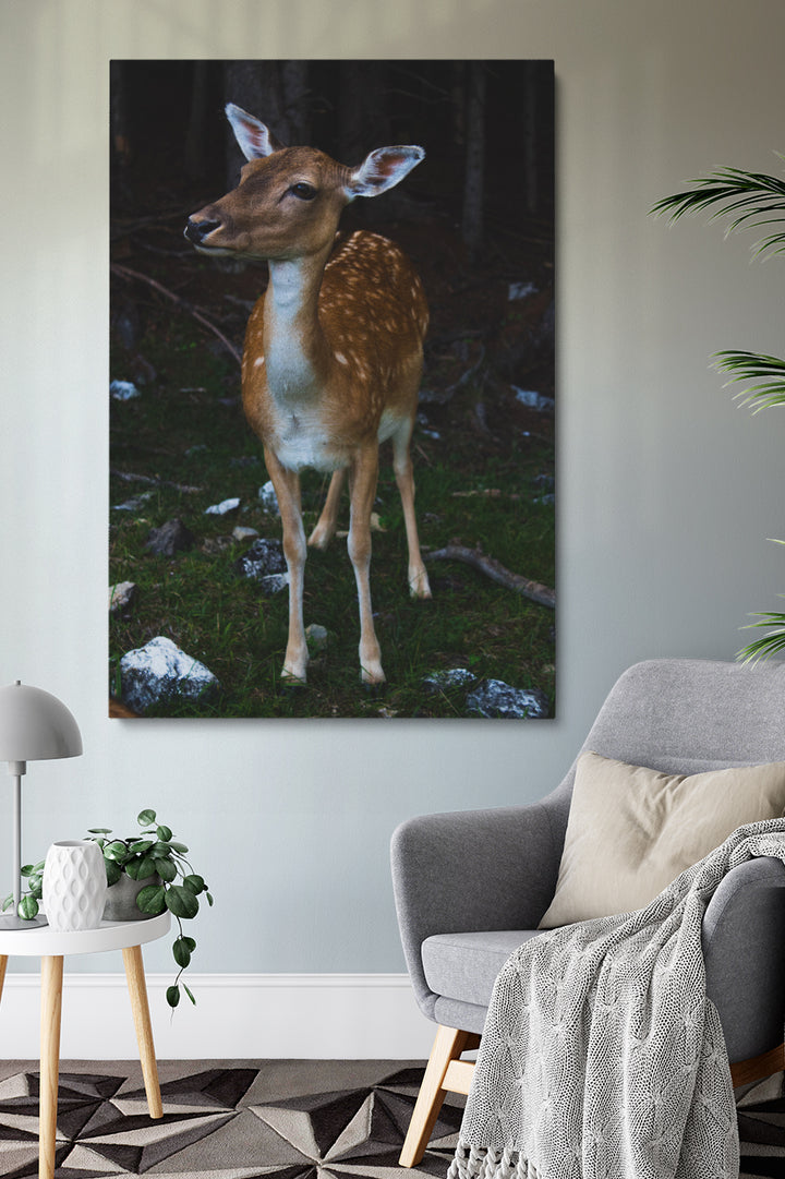 Bambi