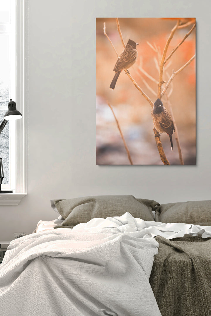 Birds Focus